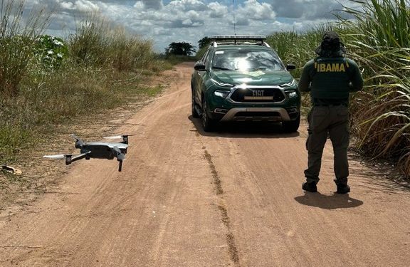 Ibama aplica quase R$ 2 milhões em multas e embarga área da Mata Atlântica no Rio Grande do Norte