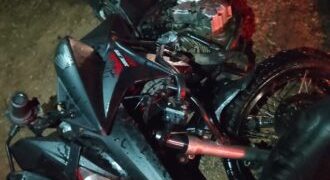 Animais soltos têm causado acidentes frequentes na RN-117