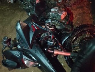 Animais soltos têm causado acidentes frequentes na RN-117