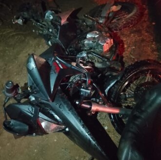 Animais soltos têm causado acidentes frequentes na RN-117