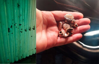 Casa é metralhada em Governador Dix-Sept Rosado na noite desse domingo (25)