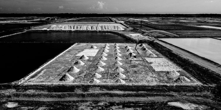 Salinas de Grossos/RN. Foto: Rogério Taygra.