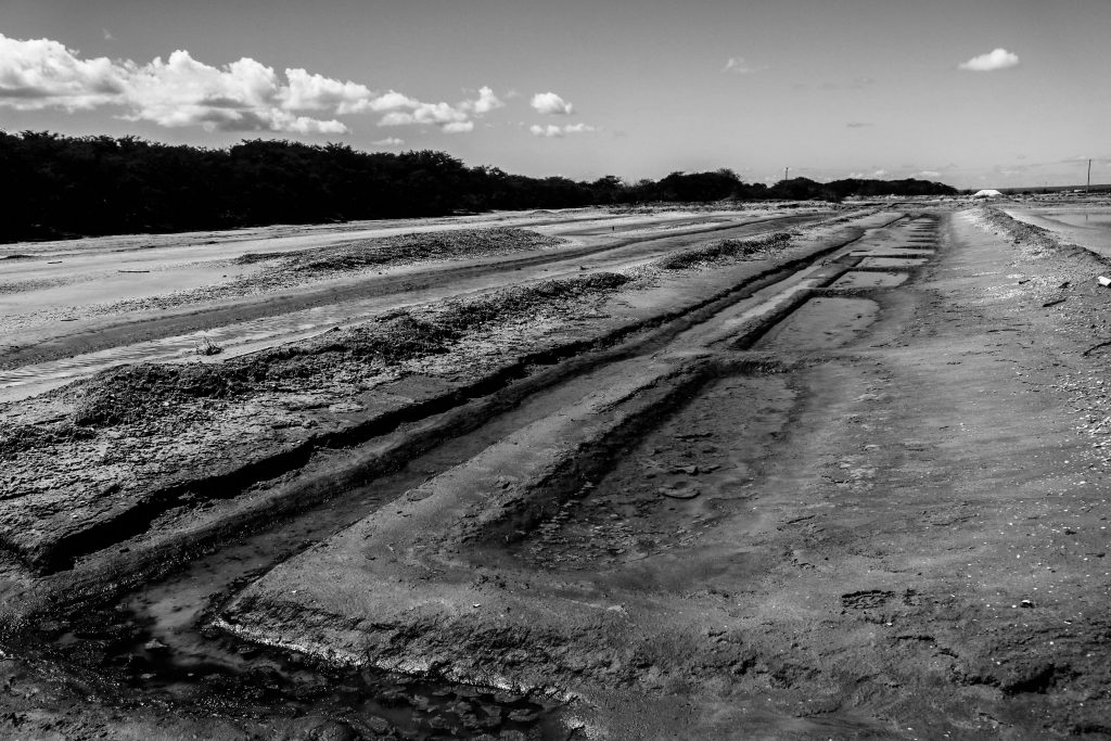Salinas de Grossos. Foto: Alexandre Fonseca.