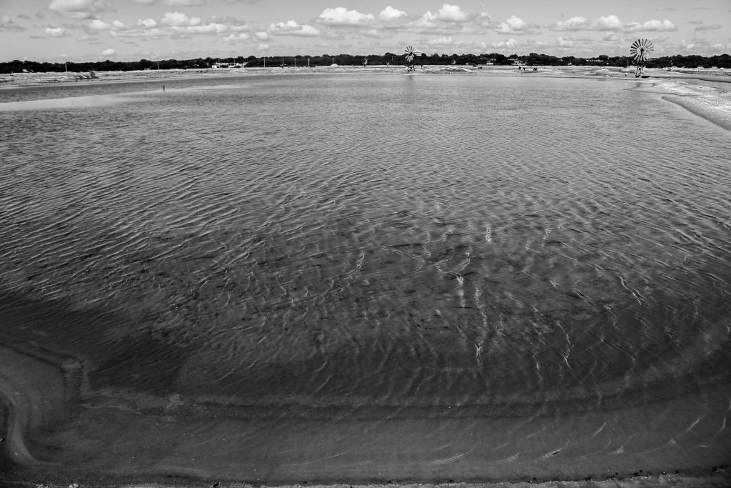 Salinas de Grossos. Foto: Alexandre Fonseca.