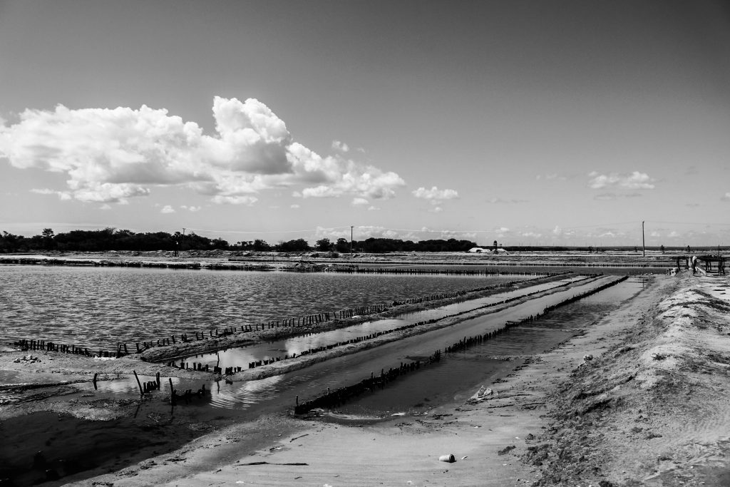 Salinas de Grossos. Foto: Alexandre Fonseca.