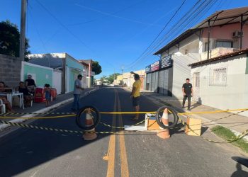 Moradores da Ilha de Santa Luzia realizam protesto após atropelamento de animal