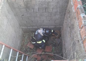 Bombeiros resgatam dois cães de dentro de fossa em Mossoró