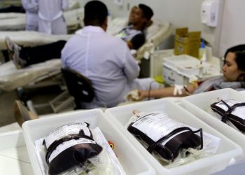 Mais de 67 mil bolsas de sangue foram coletadas no Rio Grande do Norte em 2024