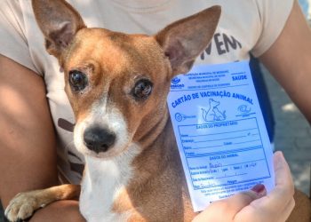 Campanha de vacinação antirrábica começará na zona rural de Mossoró na próxima segunda (14)