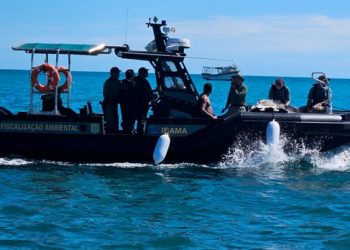 Ibama realiza operação para combater pesca ilegal da lagosta no RN