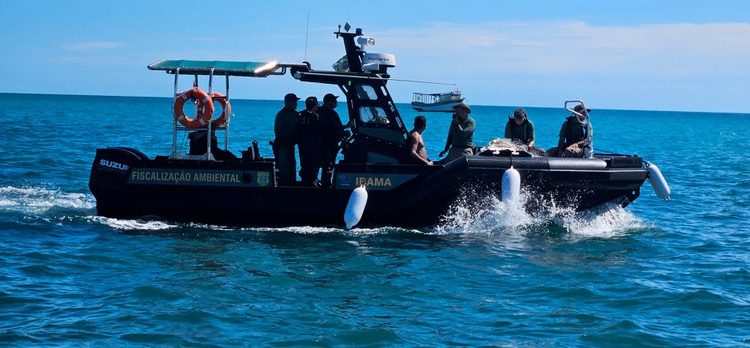 Ibama realiza operação para combater pesca ilegal da lagosta no RN