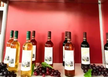 Primeiro vinho do RN com registro no Mapa é lançado em Martins