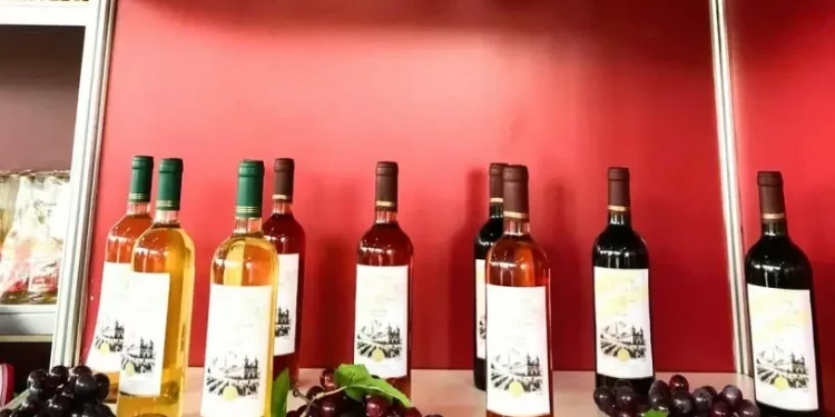 Primeiro vinho do RN com registro no Mapa é lançado em Martins