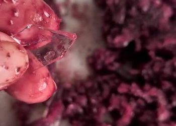 Advogada denuncia presença de vidro em polpas de frutas vendidas em Mossoró