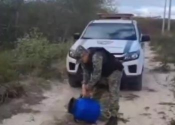 Pelotão de Ação Ambiental realiza soltura de gambá após resgate em Mossoró