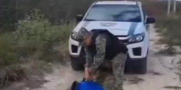 Pelotão de Ação Ambiental realiza soltura de gambá após resgate em Mossoró