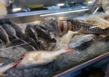 Setor pesqueiro do RN realiza última exportação para os EUA antes do tarifaço