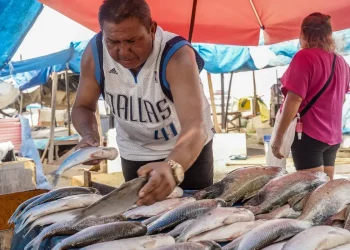 Setor de pescados é um dos que foram imediatamente impactados pela taxação dos EUA