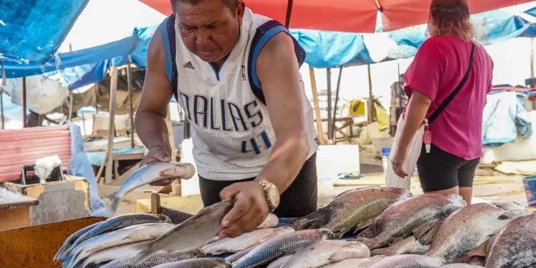 Setor de pescados é um dos que foram imediatamente impactados pela taxação dos EUA