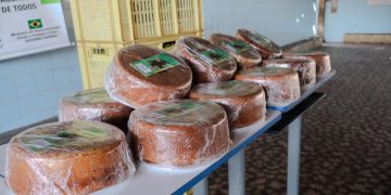 “Compra Direta Indígena” doa produtos da agricultura familiar para venezuelanos em Mossoró