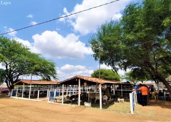 ExpoLajes chega à 29ª edição reunindo agronegócio e cultura