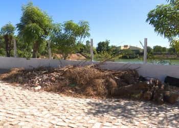 Moradores denunciam descarte irregular de lixo e esgoto em lagoa do Conjunto Santa Júlia, em Mossoró