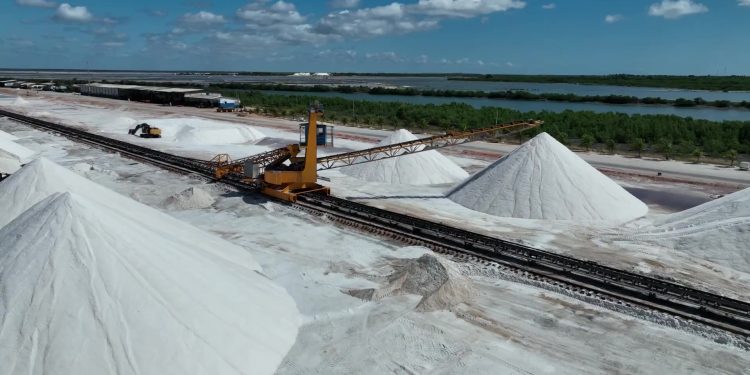 “Tarifaço” começa a valer nesta quarta (06); medida afetará a exportação de 45 produtos do RN