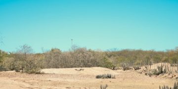 Prefeitura de Assú decreta situação de emergência devido à seca