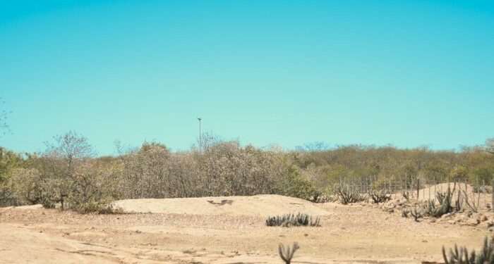 Prefeitura de Assú decreta situação de emergência devido à seca
