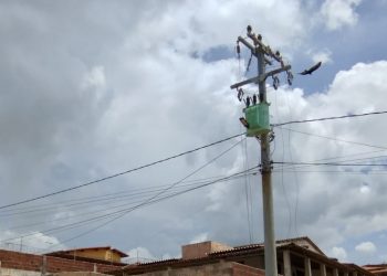 Suspeito de furtar fios da rede elétrica na Costa Branca é preso pela Polícia Civil no Piauí