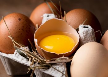 Produção de leite e ovos de galinha cresce no Rio Grande do Norte