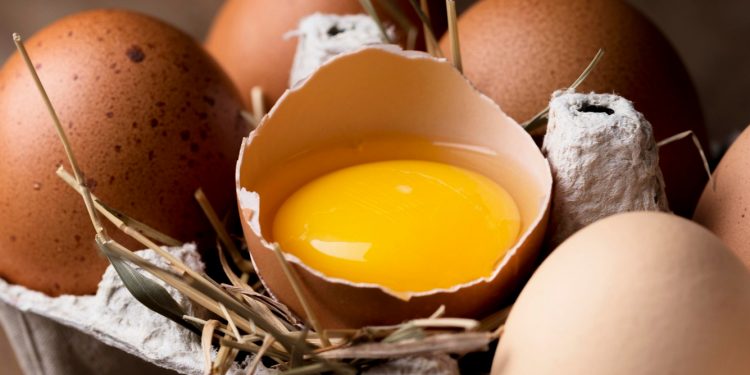 Produção de leite e ovos de galinha cresce no Rio Grande do Norte