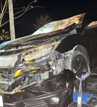 Policial militar sofre acidente após colidir com animal na RN-117