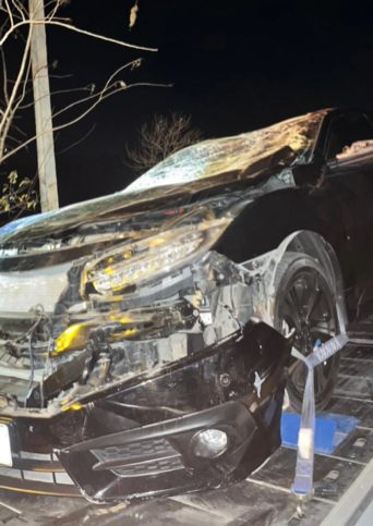 Policial militar sofre acidente após colidir com animal na RN-117