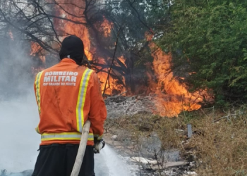 Bombeiros atendem nove ocorrências de incêndio em vegetação em três dias no interior do RN