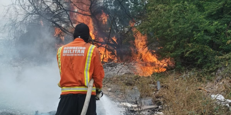 Bombeiros atendem nove ocorrências de incêndio em vegetação em três dias no interior do RN