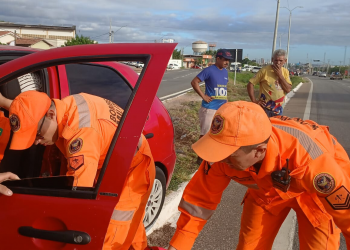 Motorista fica preso às ferragens após colidir com poste na BR-304