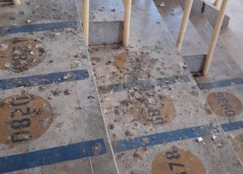 Ginásio Pedro Ciarlini é alvo de críticas por presença de fezes de pombos