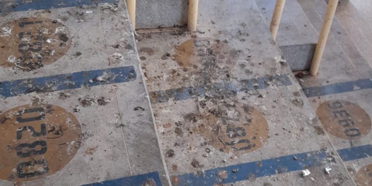 Ginásio Pedro Ciarlini é alvo de críticas por presença de fezes de pombos