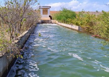 Igarn estabelece regras para uso de água de Canal e trecho do Rio Pataxó