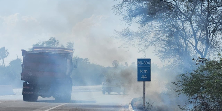 Mossoró registra 28 incêndios florestais nos primeiros dias de outubro