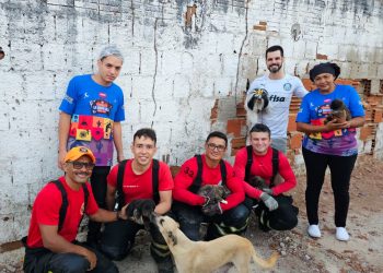 Bombeiros resgatam quatro filhotes presos em buraco coberto por concreto em Mossoró