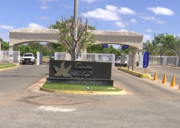 Aumento da população animal em condomínio gera divergência entre moradores