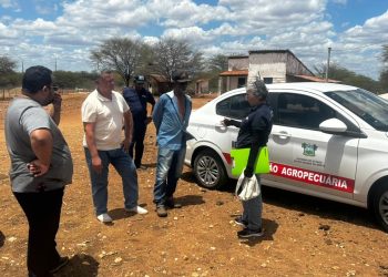 Prefeitura e Idiarn realizam inspeção técnica para averiguar ataques de morcegos em Lajes