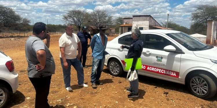 Prefeitura e Idiarn realizam inspeção técnica para averiguar ataques de morcegos em Lajes