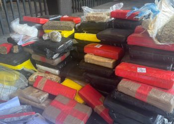 Polícia Civil incinera mais de 500kg de drogas apreendidas em Mossoró