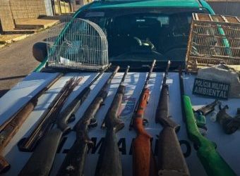 Polícia Militar Ambiental apreende armas de fogo e animais silvestres no município de Grossos