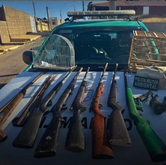 Polícia Militar Ambiental apreende armas de fogo e animais silvestres no município de Grossos