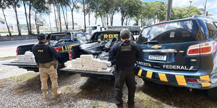 PRF e Receita Federal impedem que 700kg de maconha cheguem ao RN