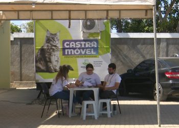 Projeto de castrações gratuitas finaliza cadastros no Conjunto Santa Júlia